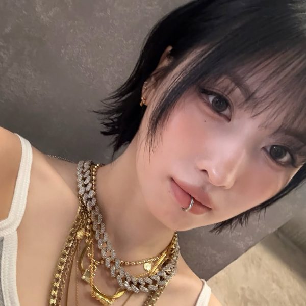 Momo_profile