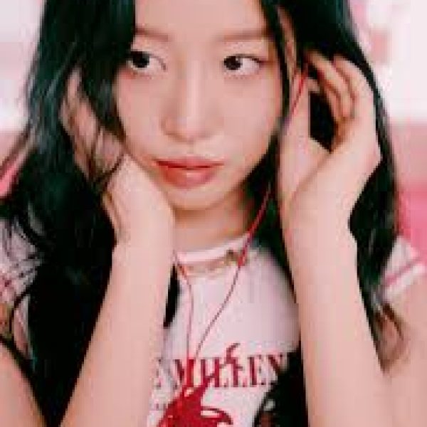 Sio_profile-1